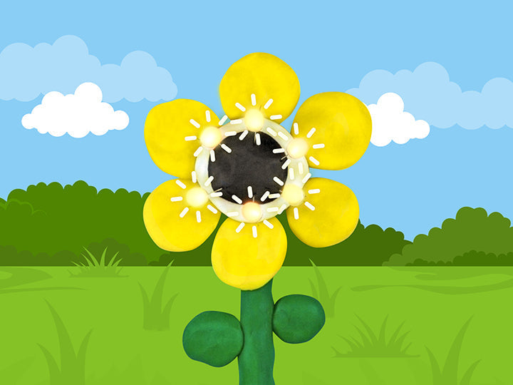 Sunflower Project