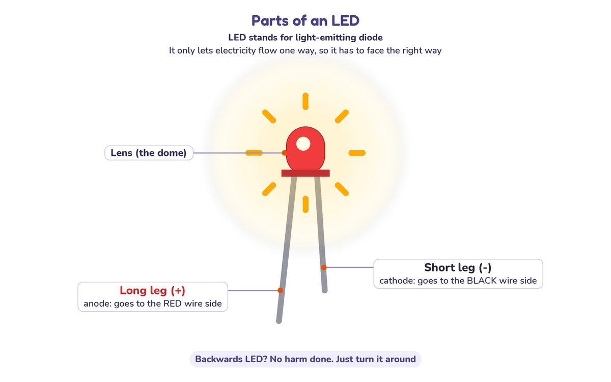 Diagram of an LED showing the lens, the long positive leg (anode) and the short negative leg (cathode)