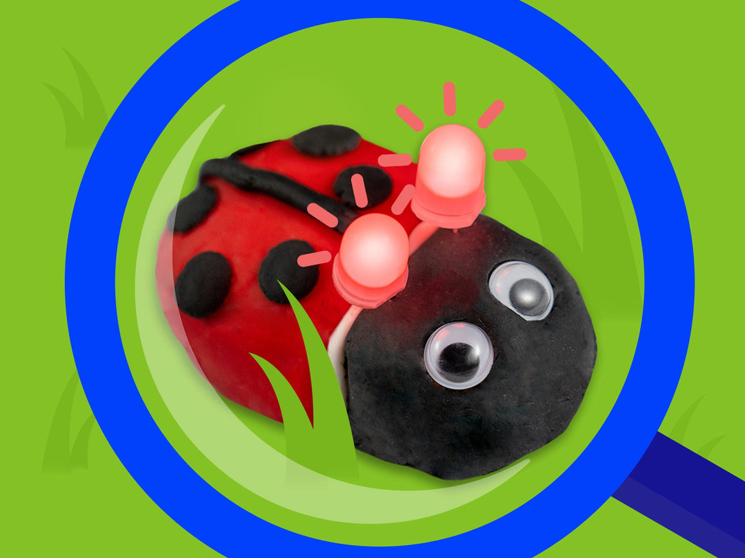 Ladybug Project