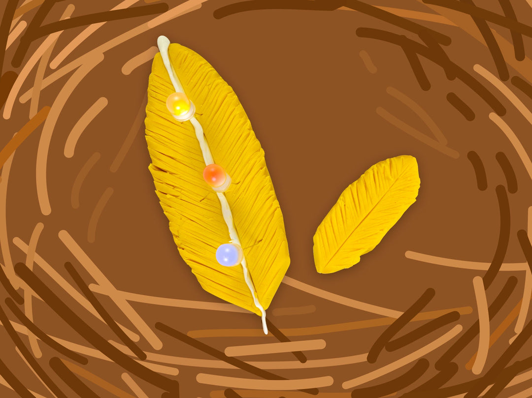 Feather Project