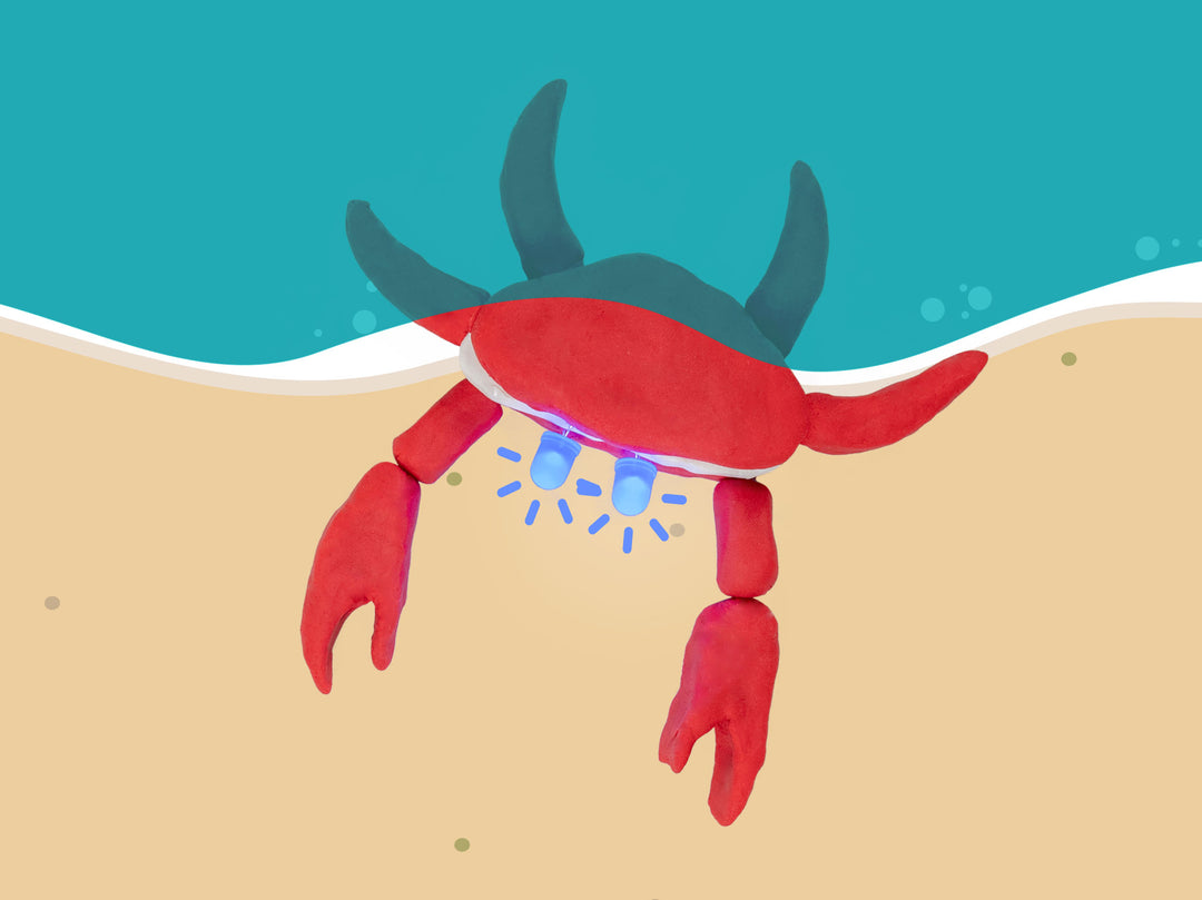 Crab Project