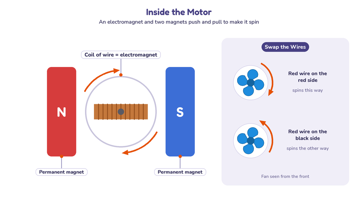 Diagram of a motor: a coil of wire spinning between north and south permanent magnets, and a four-blade fan that spins one way or the other depending on how the wires are connected